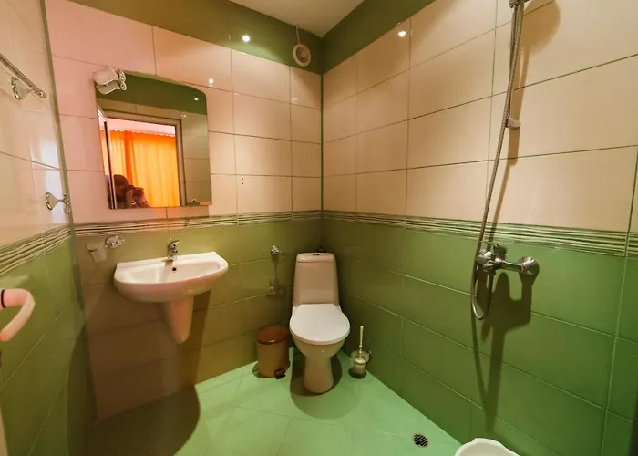 ホームステイ константин асен 1